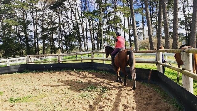 BACK IN THE SADDLE!!!